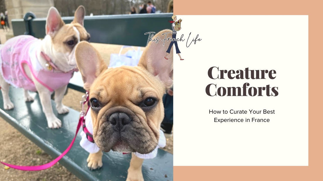 VIDEO Creature Comforts – How to Curate Your Best Experience in France