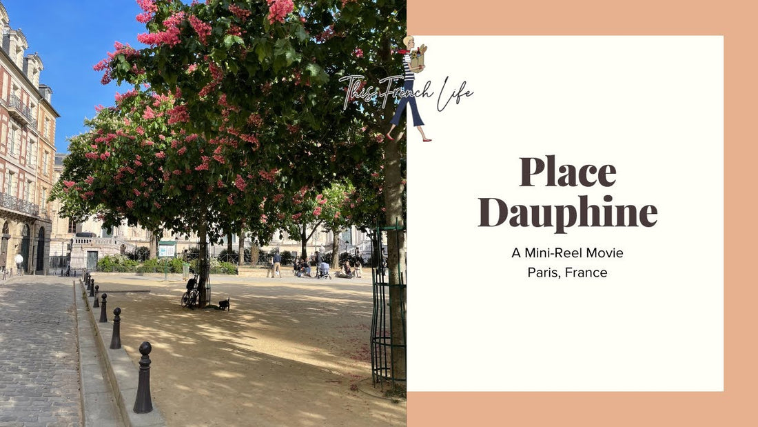 VIDEO Place Dauphine, Paris, France