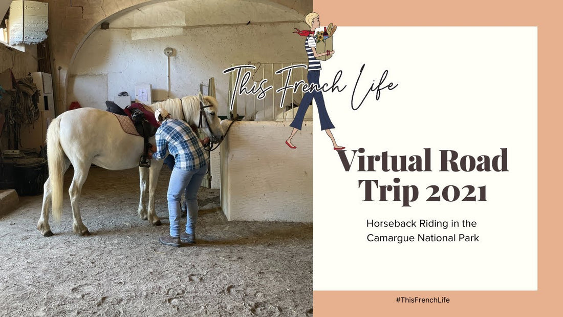 VIDEO VIRTUAL ROAD TRIP – Horseback Riding in the Camargue National Park, France
