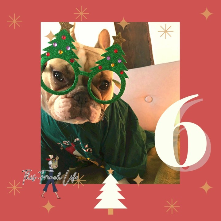 Day Six (countdown to a very Frenchie Christmas!…