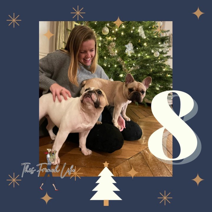 Day Eight (countdown to a very Frenchie Christma…