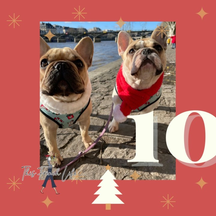 Day Ten (countdown to a very Frenchie Christmas!…