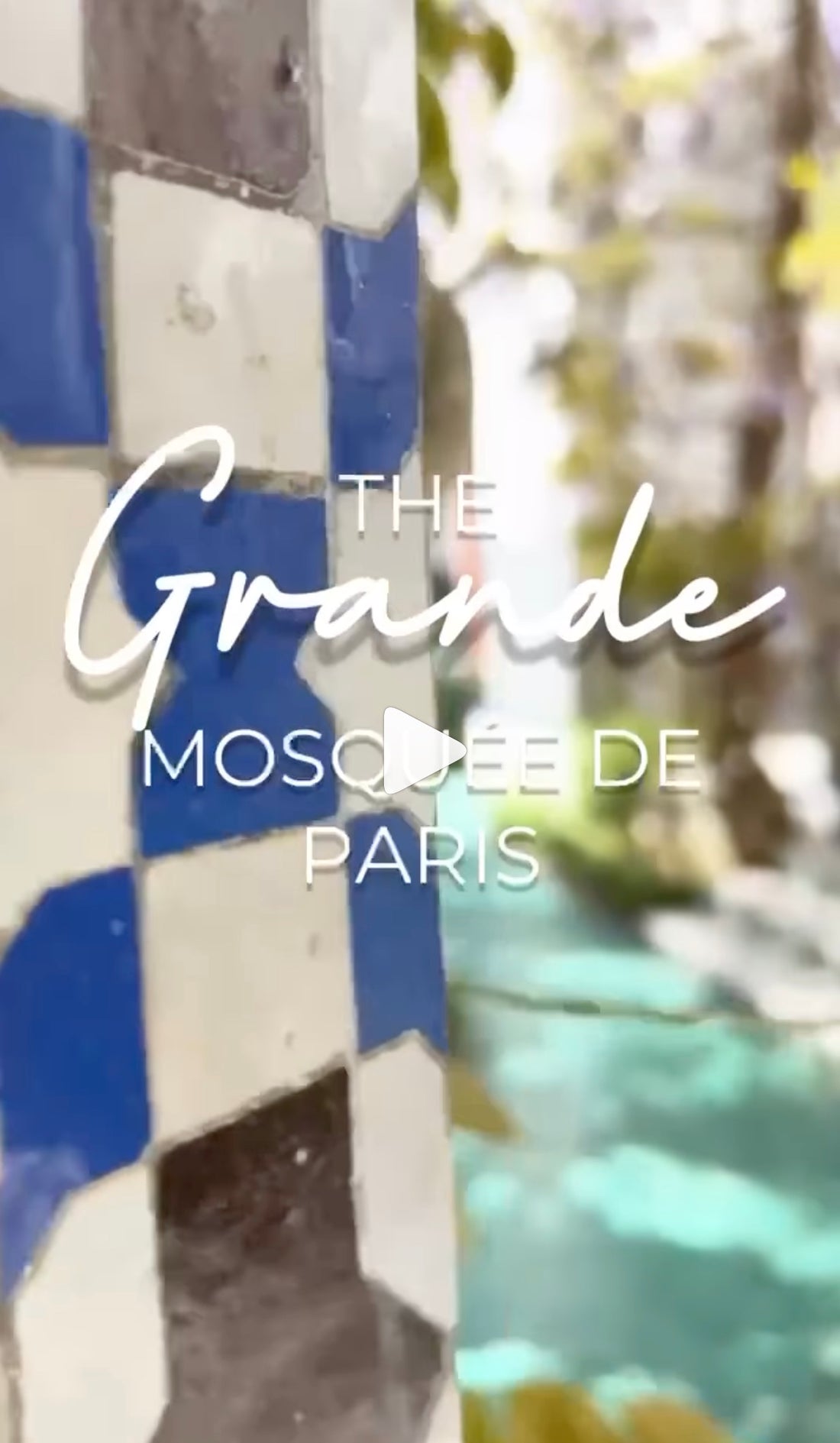 A Glycine Dream - The gardens of the Grande Mosquée de Paris, France.